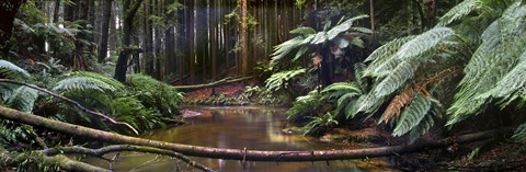 Framed Aire River Print