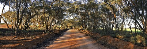 Framed Canny Road Print