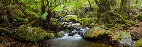 Framed Cement Creek Print
