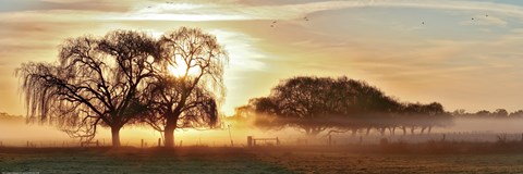 Framed Misty Morning 2 Print