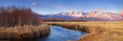 Framed Owens River Print