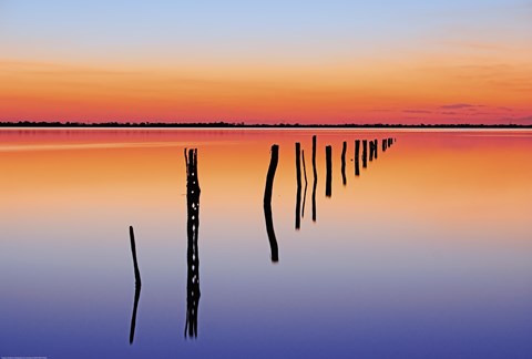 Framed Vanishing Fence Line Print