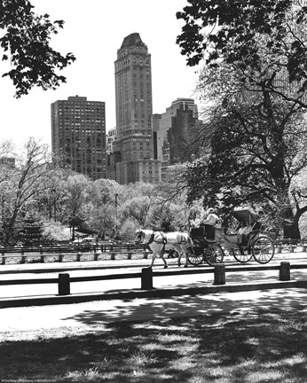 Framed Carriage Print