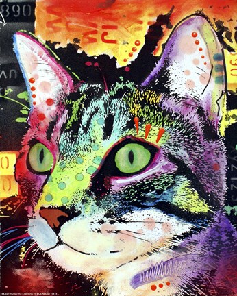 Framed Curiosity Cat Print