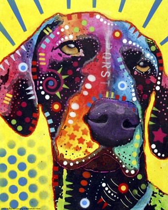 Framed German Short Hair Pointer Print