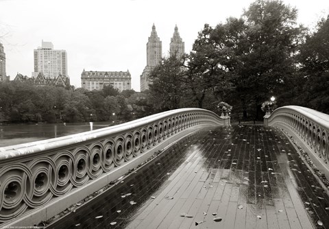 Framed Bow Bridge 2010 Print