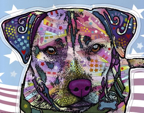 Framed Dakota 1 Print