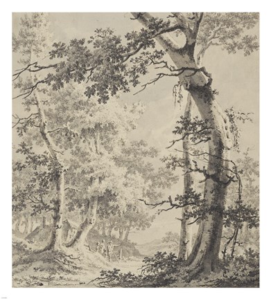 Framed Wooded Landscape Print