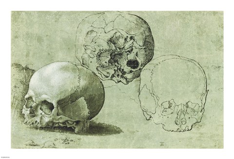 Framed Study of Three Skulls Print