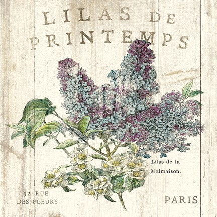 Framed Lilas de Printemps Print