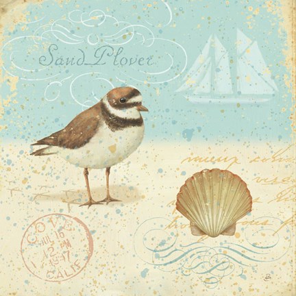 Framed Natural Seashore I Print