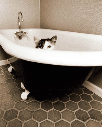 Framed Kitty III Print