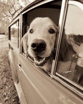 Framed Are we there Yet? Print