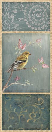 Framed Female Goldfinch Print