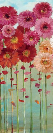 Framed Daisies Spring II Print