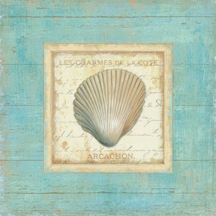 Framed Bijou de Mer III Print