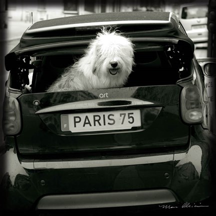 Framed Paris Dog I Print