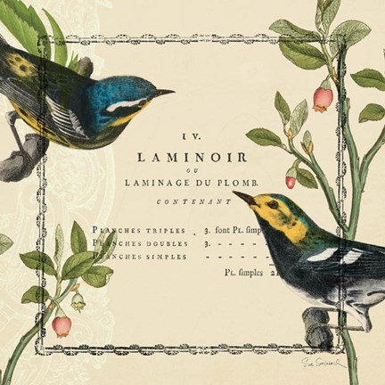 Framed Summer Pages II Print