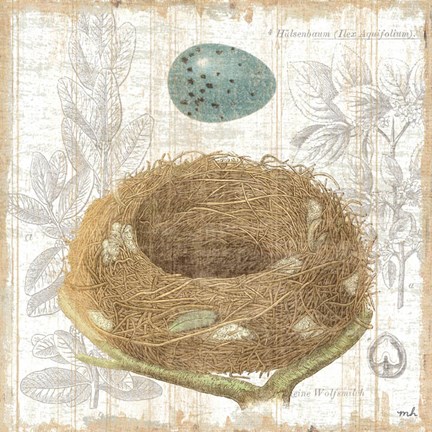 Framed Botanical Nest III Print