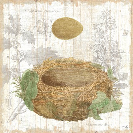Framed Botanical Nest IV Print
