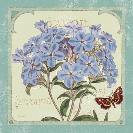 Framed Parisian Flower  II Print