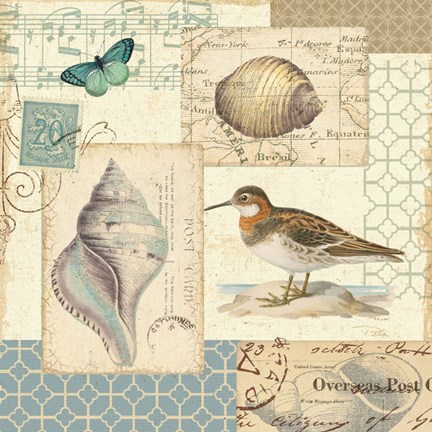 Framed Coastal Collage II Print