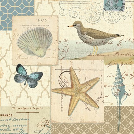 Framed Coastal Collage IV Print