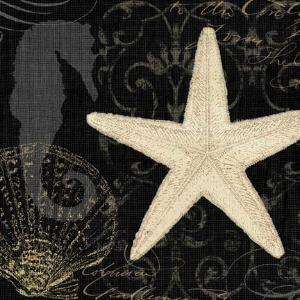 Framed Coastal Moonlight I Print