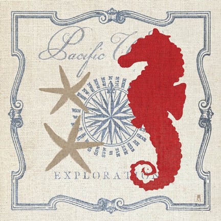 Framed Pacific Seahorse Print