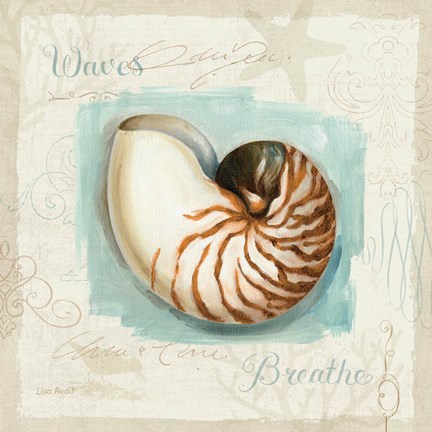 Framed Coastal Jewels II Print