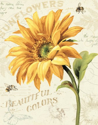 Framed Under the Sun II Print