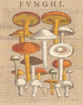 Framed Funghi Velenosi II Print