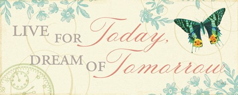 Framed Times Flies III Print