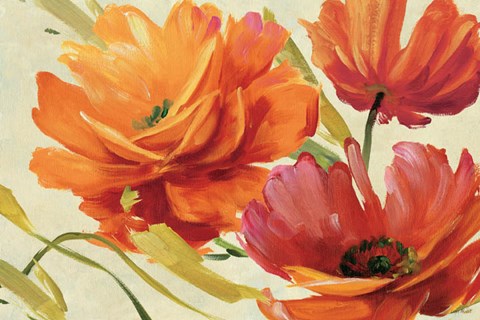 Framed Flamboyant III Print