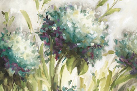 Framed Hydrangea Field Print
