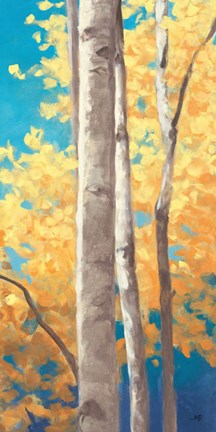 Framed Doubloons Panel II Print