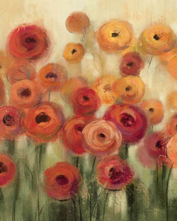 Framed Ranunculi Field II Print