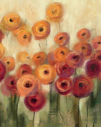 Framed Ranunculi Field III Print