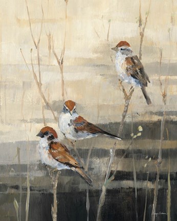 Framed Evening Sanctuary III Print