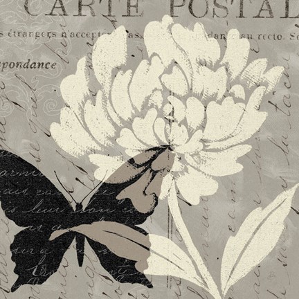 Framed Natural Prints I Print