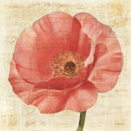 Framed Blushing Poppy on Cream Print