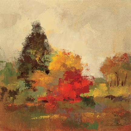 Framed Fall Forest I Print