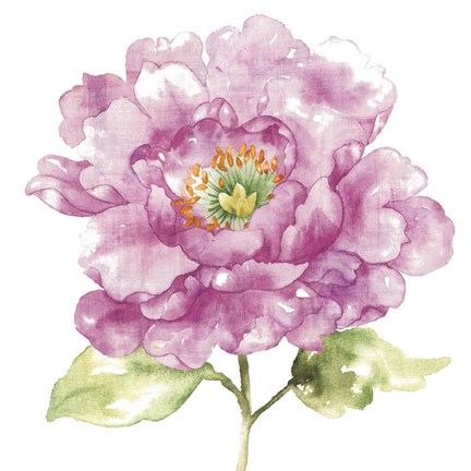 Framed Water Flower I Print