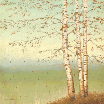 Framed Golden Birch II with Blue Sky Print