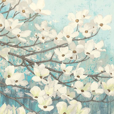 Framed Dogwood Blossoms II Print