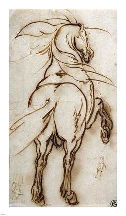 Framed Study of a Rearing Horse Print