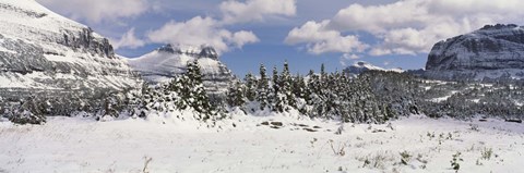 Framed Mountains with trees in winter, Logan Pass, US Glacier National Park, Montana, USA Print