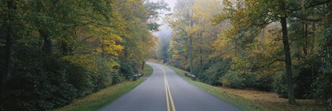 Framed Trees along a road, Blue Ridge Parkway, North Carolina, USA Print