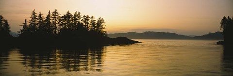 Framed Silhouette of trees in an island, Frederick Sound, Alaska, USA Print