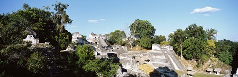 Framed Old Temple In The Forest, Tikal, Guatemala Print